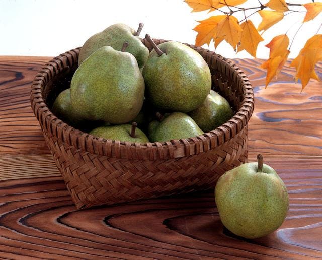 スポットの写真