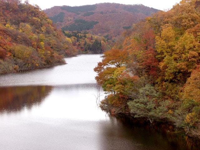 白い森おぐに湖