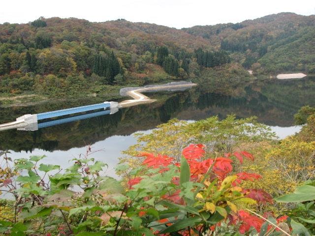 スポットの写真