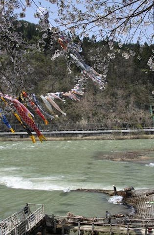 ヤナ開きまつり