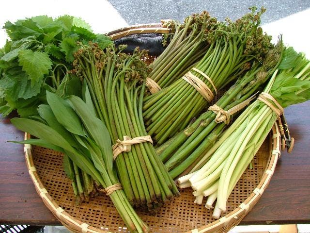 中津川山菜まつり