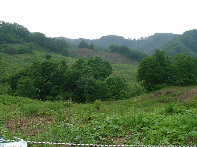 白川山菜園白川わらび園