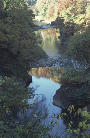 梵字川渓谷の紅葉