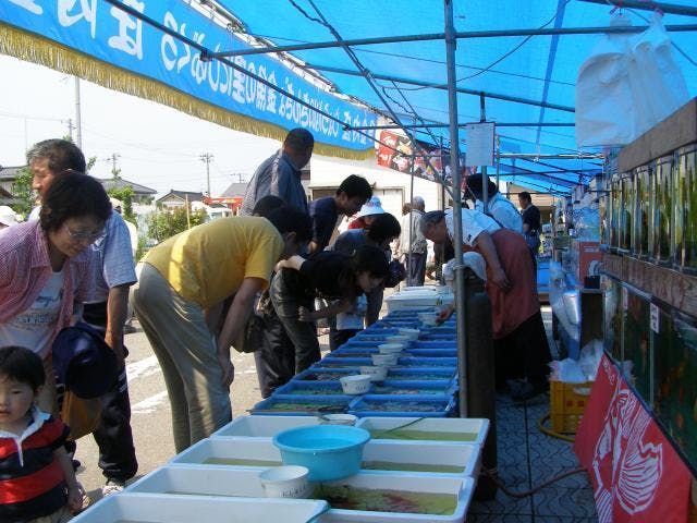 植木・金魚まつり