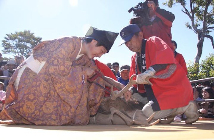 【2021年開催中止】鳥海山神鹿角切祭