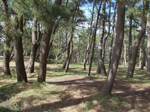 西浜キャンプ場