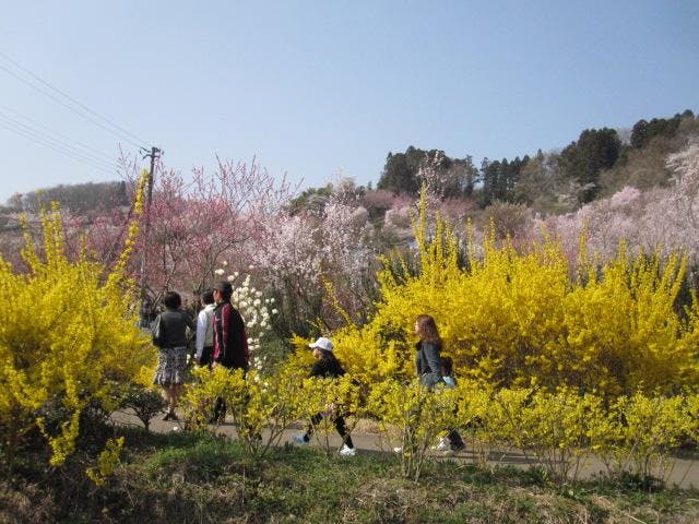 花見山周辺ウォーキングトレイル