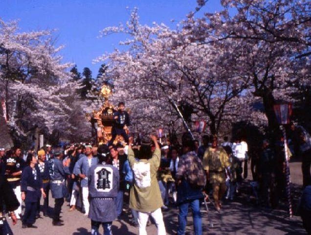 鶴ヶ城さくら祭り