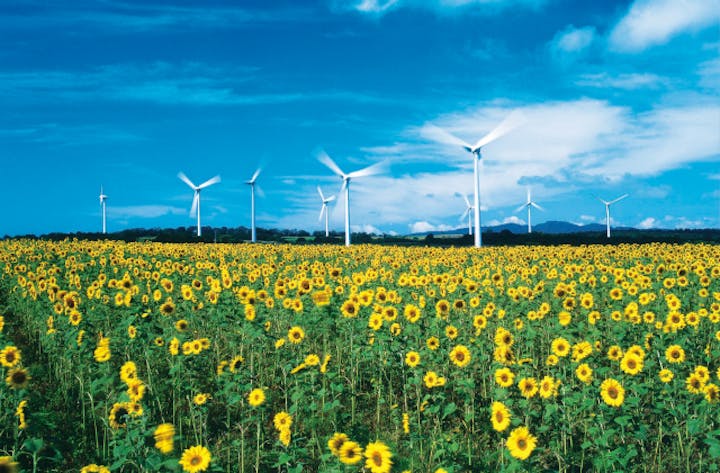 【2021年開催中止】郡山布引風の高原まつり