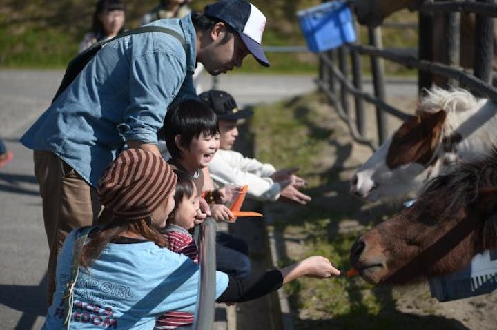 郡山石筵ふれあい牧場