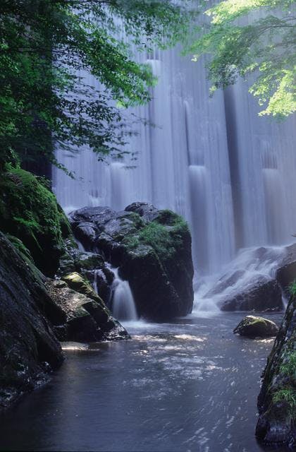 【中古】 福島県の渓流 東京起点日帰り１泊で楽しめる 中通り浜通り編/山と渓谷社/山と渓谷社 福島県の渓流 東京起点日帰り1泊で楽しめる 中通り浜通り編/