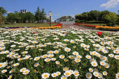 スポットの写真