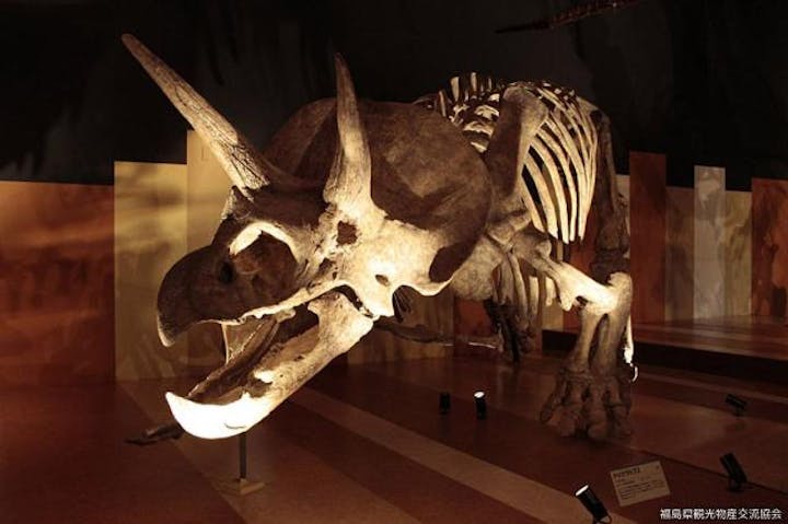 いわき市石炭・化石館ほるる