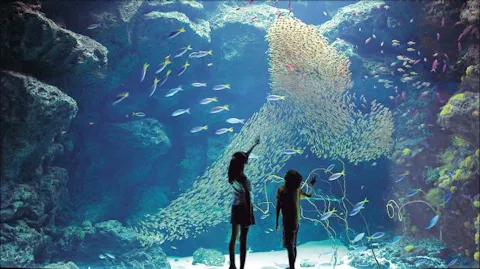 福島 おすすめ水族館まとめ 割引クーポンも充実 アソビュー