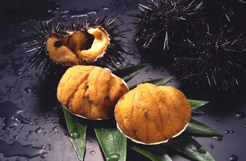 スポットの写真