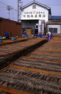 スポットの写真