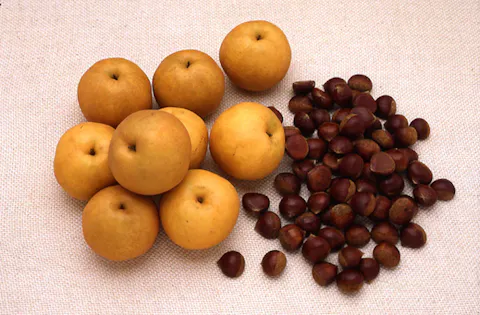 スポットの写真