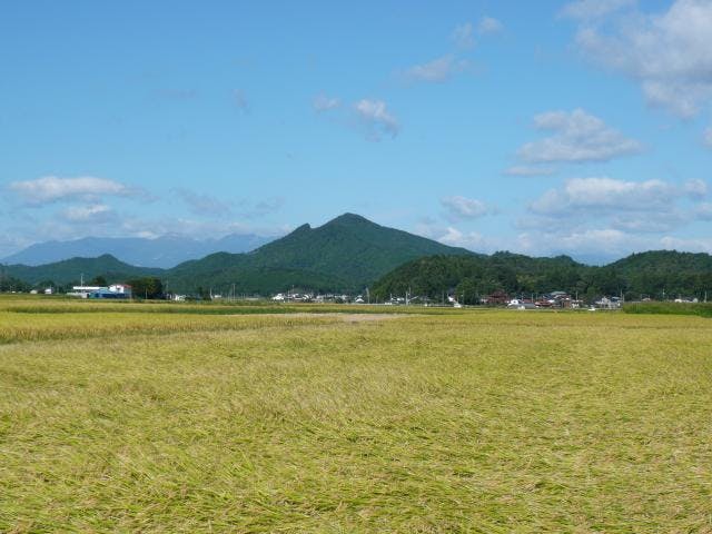関山