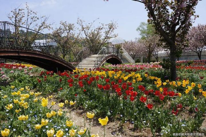 白河フラワーワールド