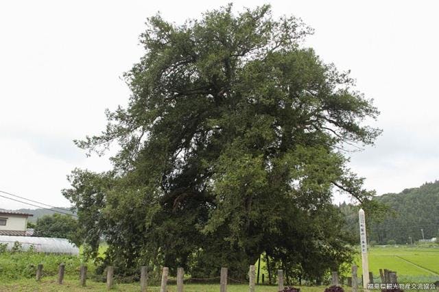 スポットの写真