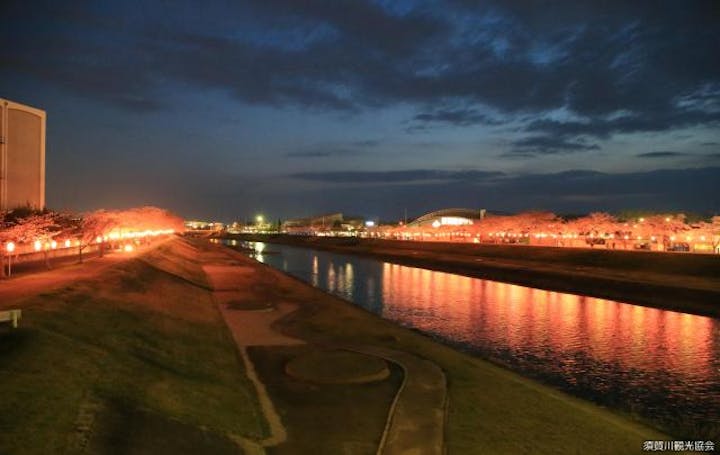 須賀川桜まつり