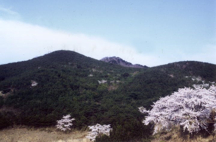 【規模縮小開催】宇津峰山開き