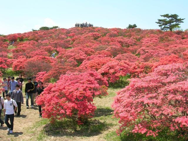 【中止】高柴山山開き