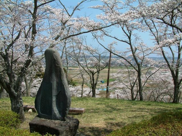 スポットの写真