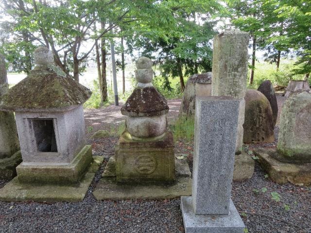 スポットの写真