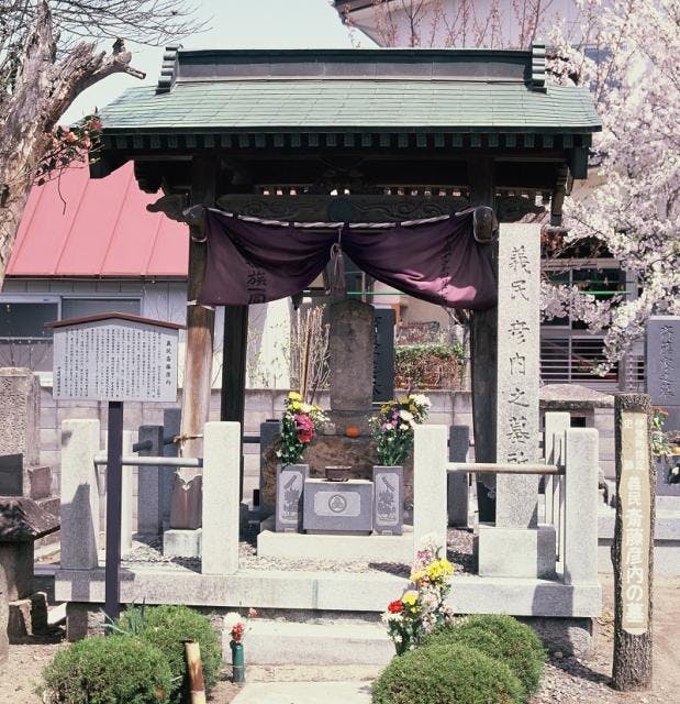 スポットの写真