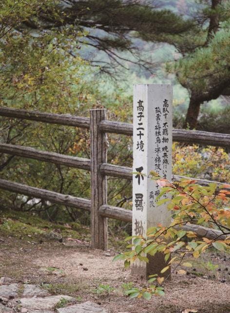 スポットの写真