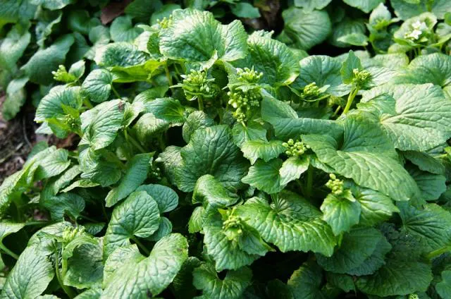 スポットの写真