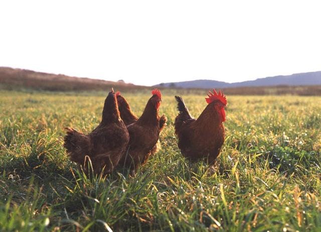 スポットの写真