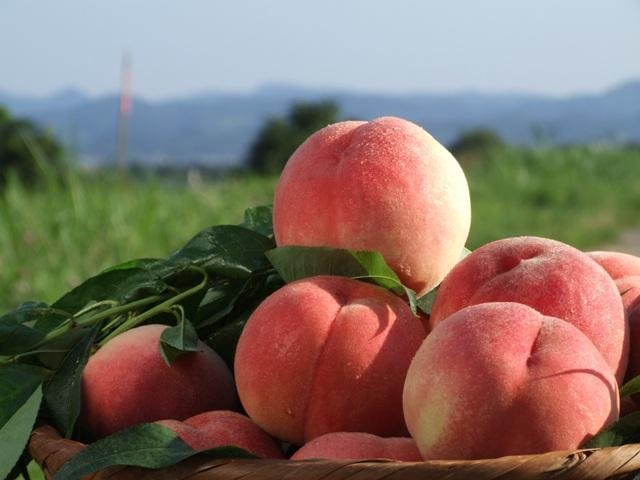 スポットの写真