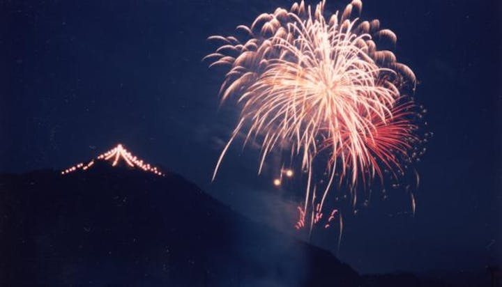 阿津賀志山ビックツリー