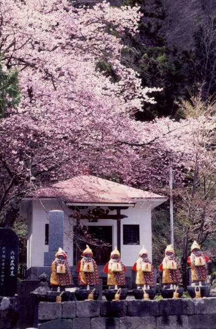 スポットの写真