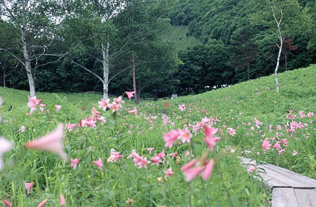 スポットの写真