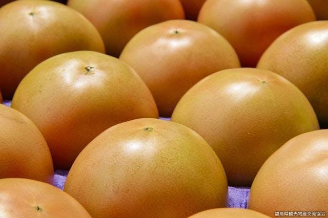 スポットの写真