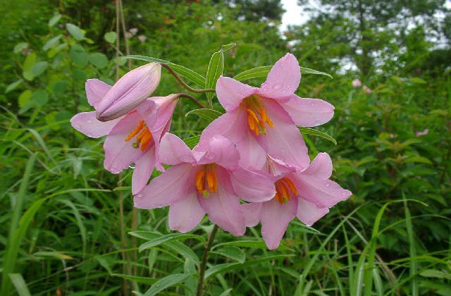 スポットの写真