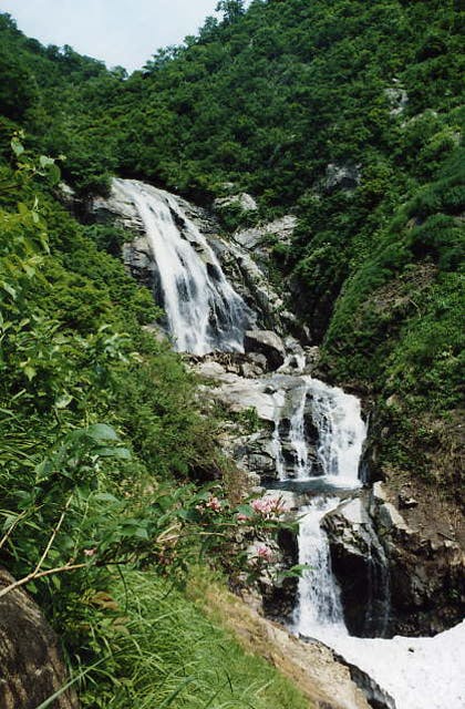 スポットの写真