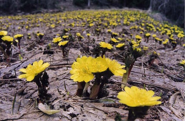 スポットの写真