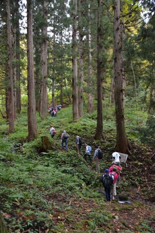 大山祇神社ハイキングコース