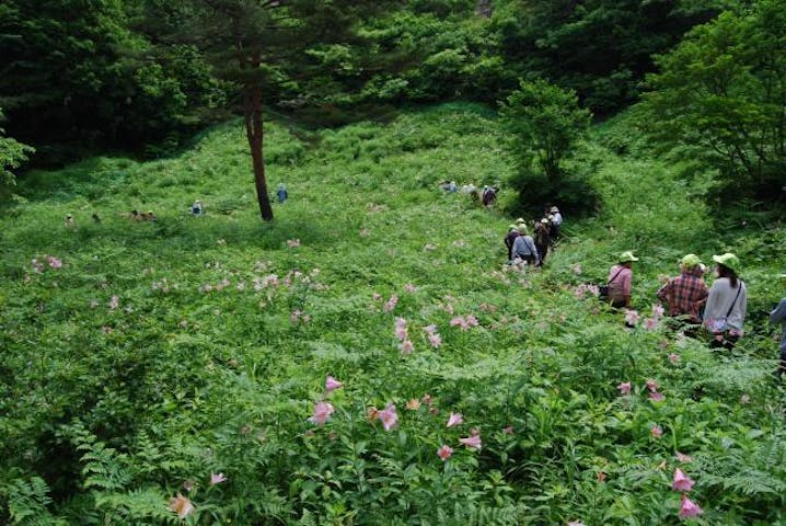 安座・大久保ハイキングコース