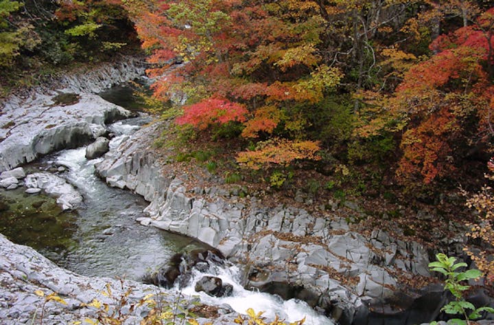 中津川唐松川の紅葉