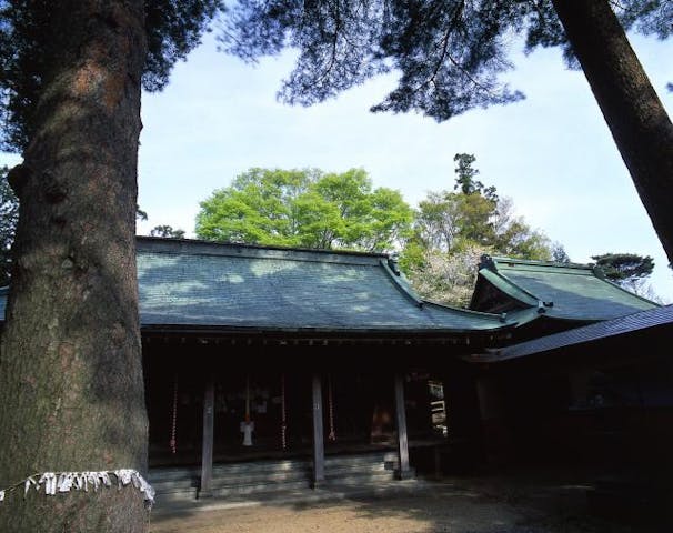 小平潟天満宮例大祭
