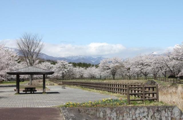 スポットの写真