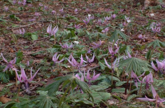 スポットの写真