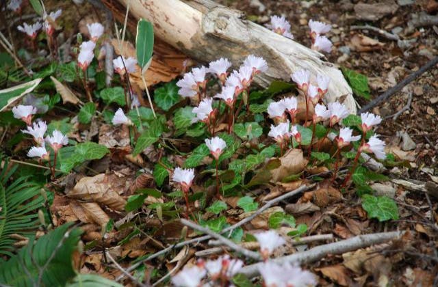 スポットの写真