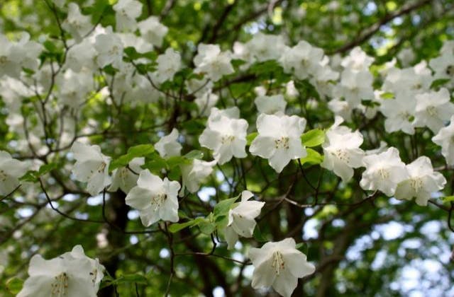 スポットの写真