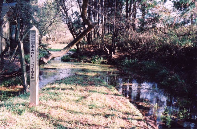 スポットの写真